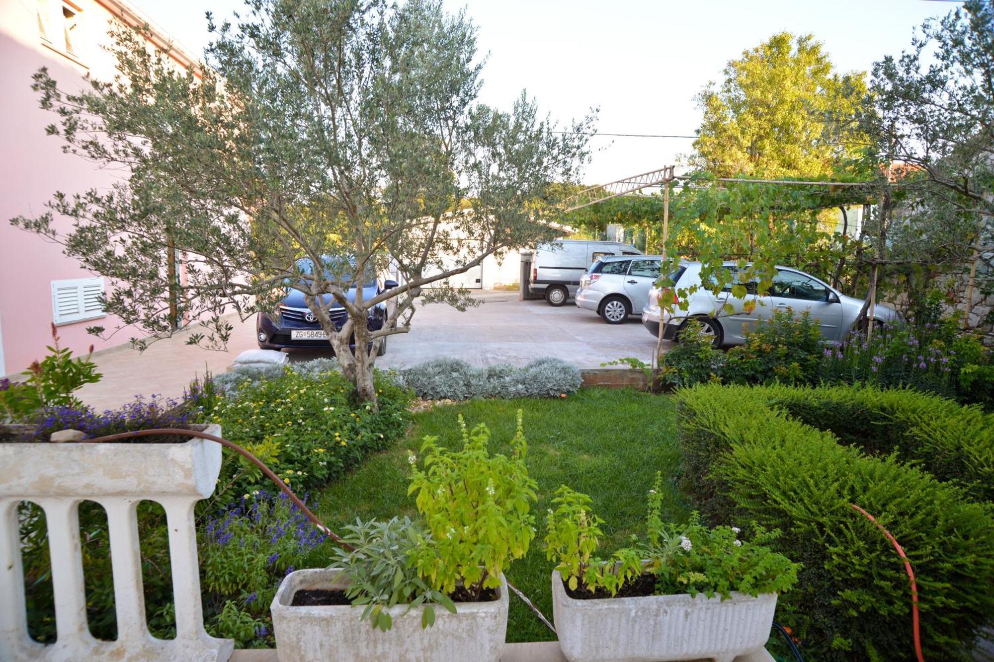 Apartments Lonic Kukljica Rom bilde